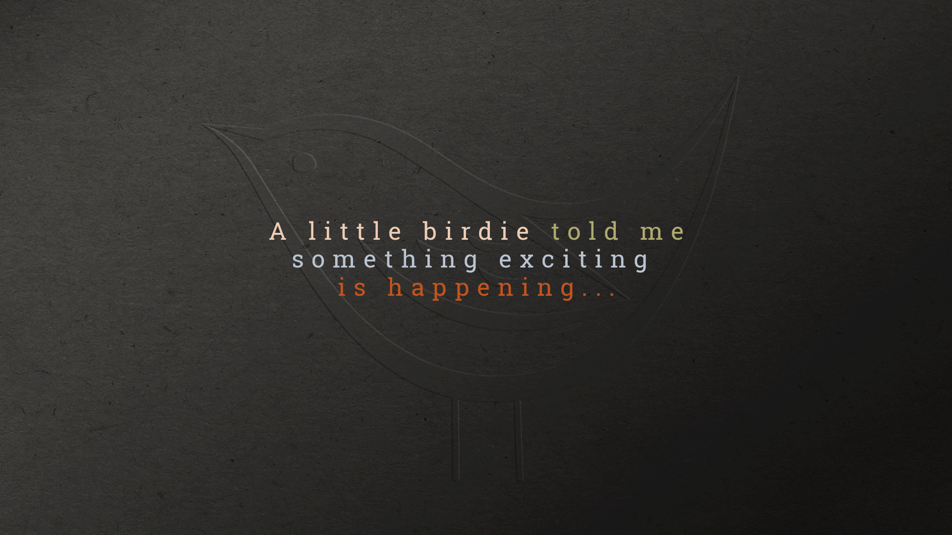 Wren-Brand-Development1